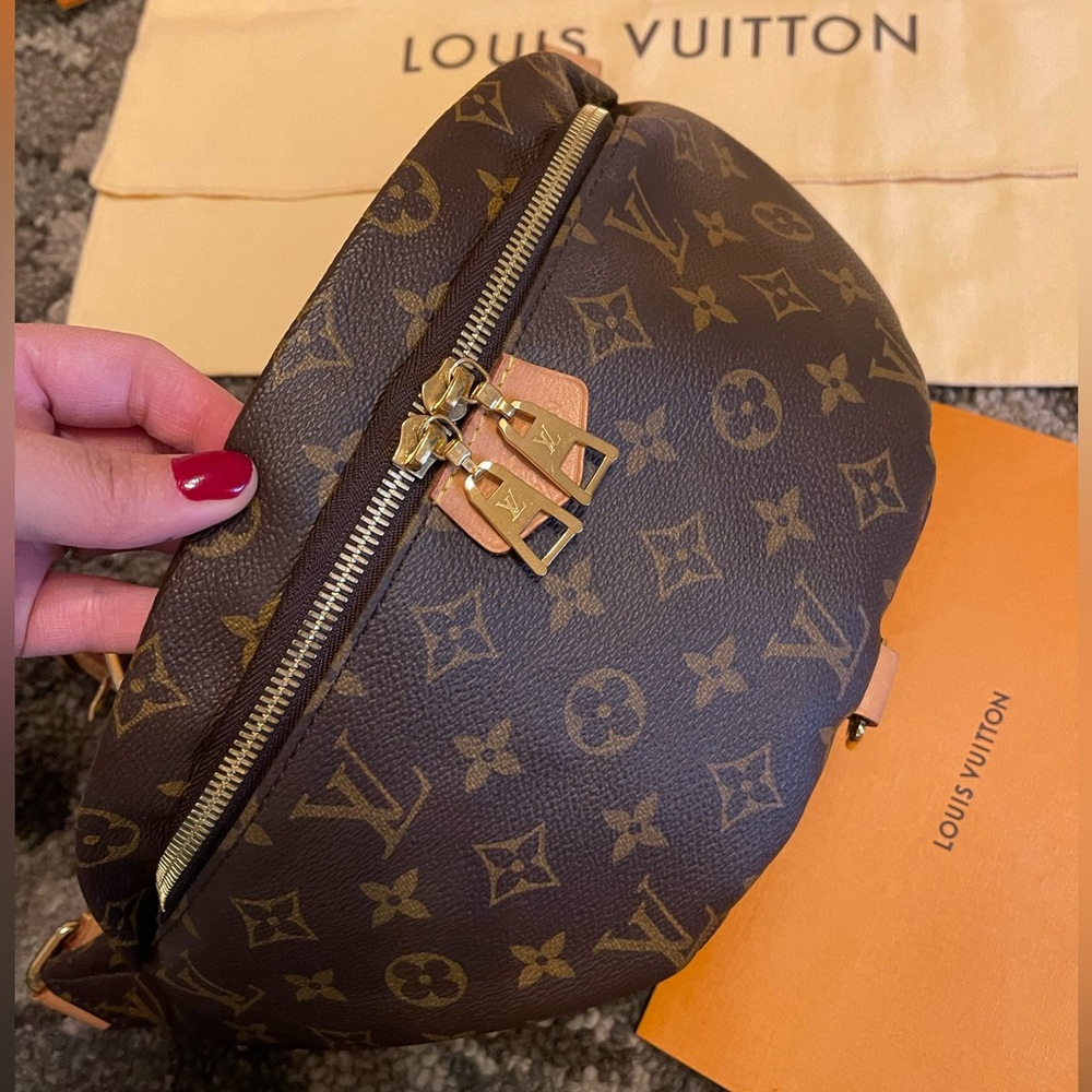 Louis Vuitton Monogram Bum Bag - Picture 10 of 17